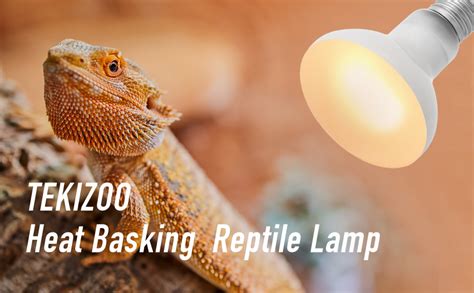 reptile basking light bulb|daytime reptile light bulbs.